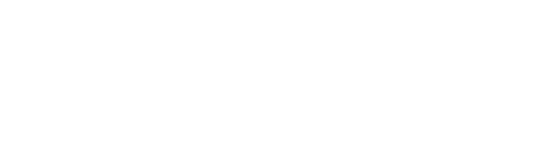 Wulf Burger Dallas